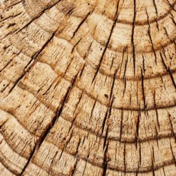 Indoor/Outdoor Faux Concrete Stump Accent Table Brown - Threshold™ Designed With Studio McGee 9 Indoor/Outdoor Faux Concrete Stump Accent Table Brown - Threshold™ Designed With Studio McGee -Furniture Sales Store GUEST 03deabfd 2b62 4725 94b4 09a321ea8678