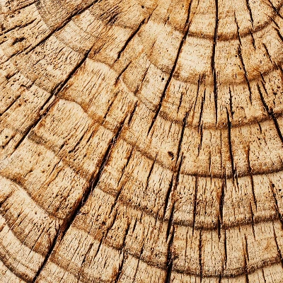 Indoor/Outdoor Faux Concrete Stump Accent Table Brown - Threshold™ Designed With Studio McGee 5 Indoor/Outdoor Faux Concrete Stump Accent Table Brown - Threshold™ Designed With Studio McGee - Image 5