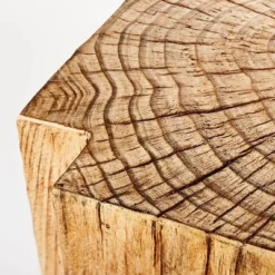 Indoor/Outdoor Faux Concrete Stump Accent Table Brown - Threshold™ Designed With Studio McGee 8 Indoor/Outdoor Faux Concrete Stump Accent Table Brown - Threshold™ Designed With Studio McGee -Furniture Sales Store GUEST 0507ce42 1b4d 418a 858c 11fe1ac459fe