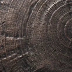 Grantsville Drum Accent Table Black - Threshold™ Designed With Studio McGee -Furniture Sales Store GUEST 2a48e59f 9a1e 4d95 a641 6710dbd36ebe