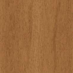 2pk Timo Dining Chair Cream - Threshold™ -Furniture Sales Store GUEST 5d779e0e 0b3d 4661 9e88 19bec517fd72